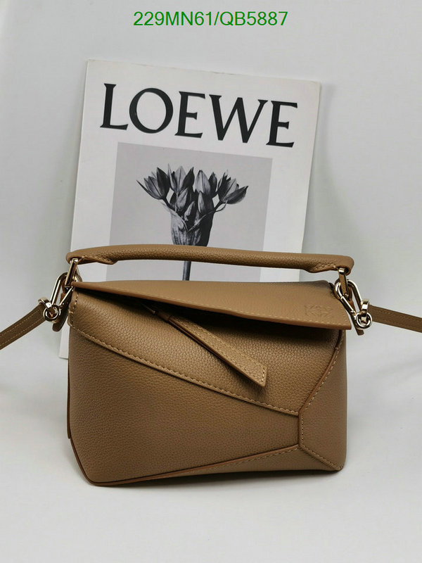 Loewe-Bag-Mirror Quality Code: QB5887 $: 229USD