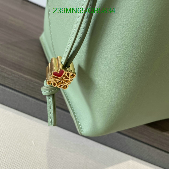 Loewe-Bag-Mirror Quality Code: QB5834 $: 239USD