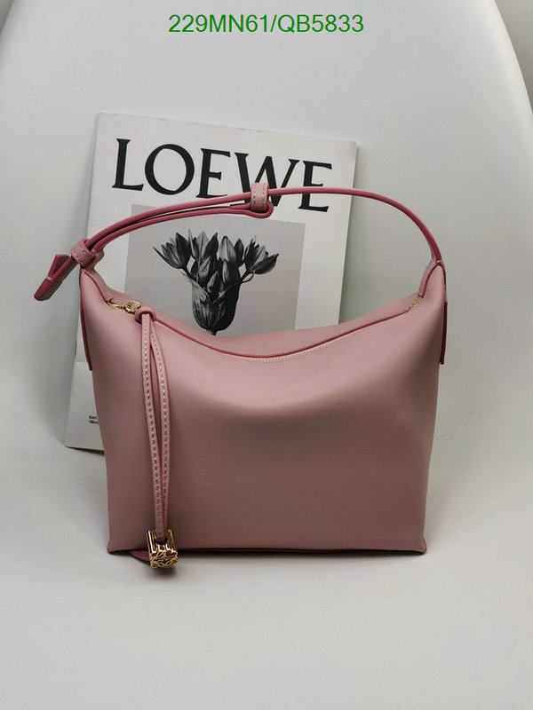 Loewe-Bag-Mirror Quality Code: QB5833 $: 229USD