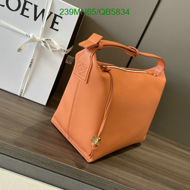 Loewe-Bag-Mirror Quality Code: QB5834 $: 239USD