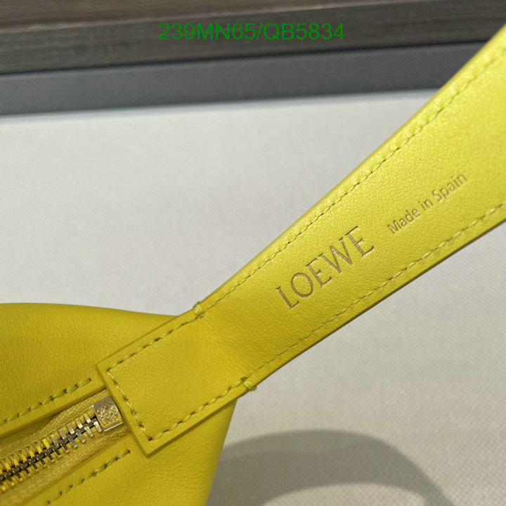 Loewe-Bag-Mirror Quality Code: QB5834 $: 239USD