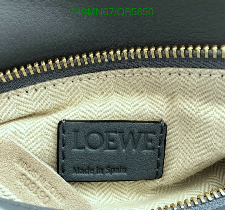 Loewe-Bag-Mirror Quality Code: QB5850 $: 249USD