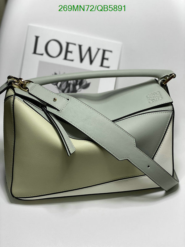 Loewe-Bag-Mirror Quality Code: QB5891 $: 269USD
