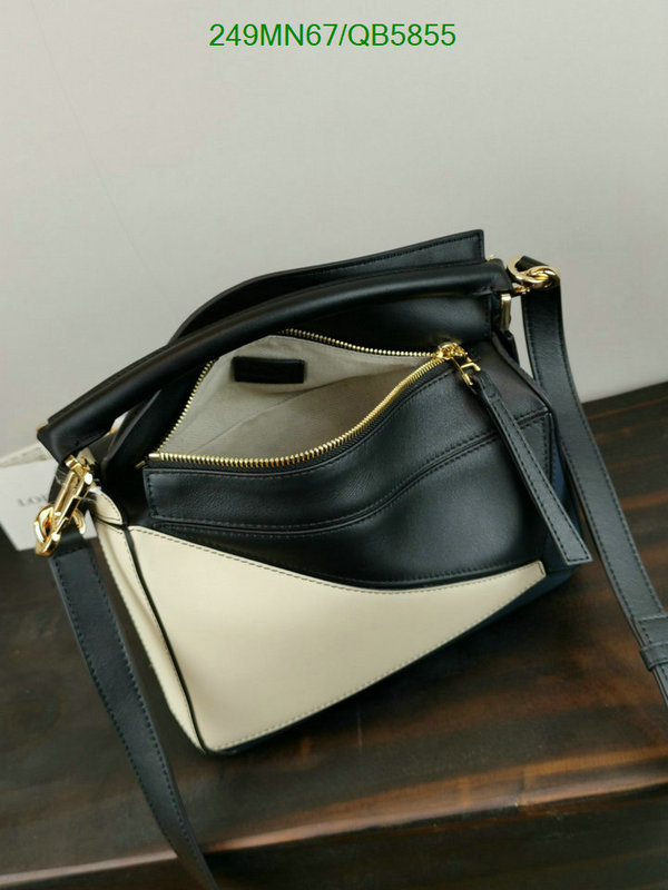 Loewe-Bag-Mirror Quality Code: QB5855 $: 249USD