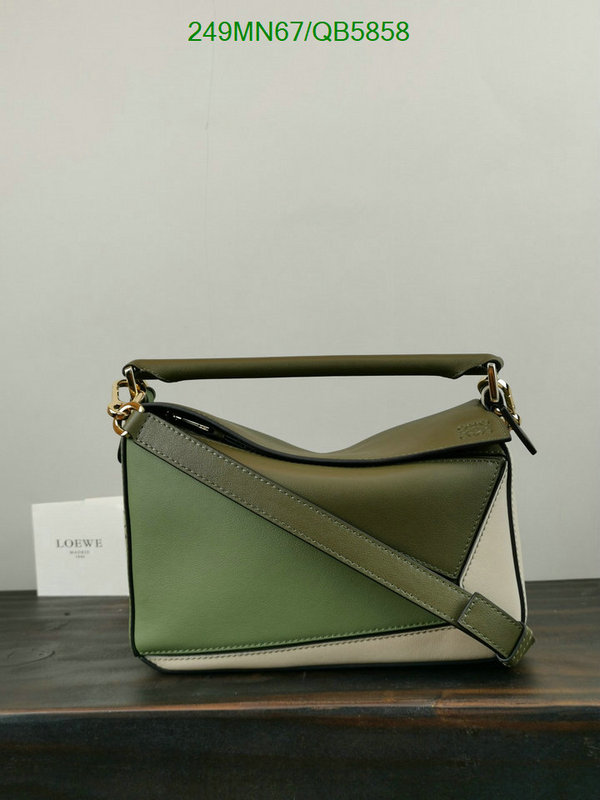 Loewe-Bag-Mirror Quality Code: QB5858 $: 249USD