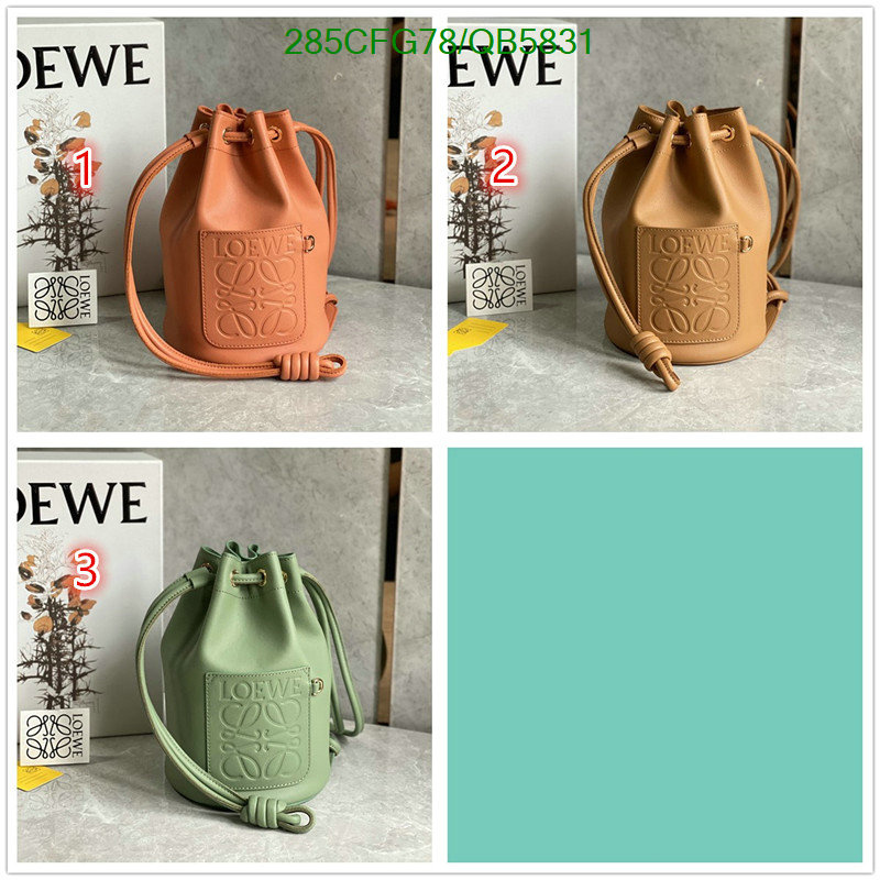Loewe-Bag-Mirror Quality Code: QB5831 $: 285USD