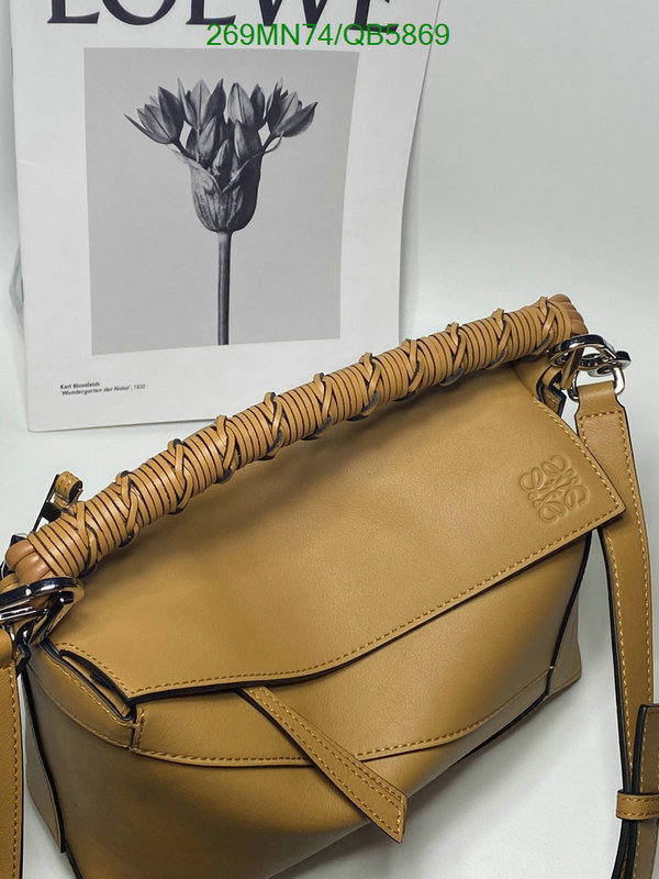 Loewe-Bag-Mirror Quality Code: QB5869 $: 269USD