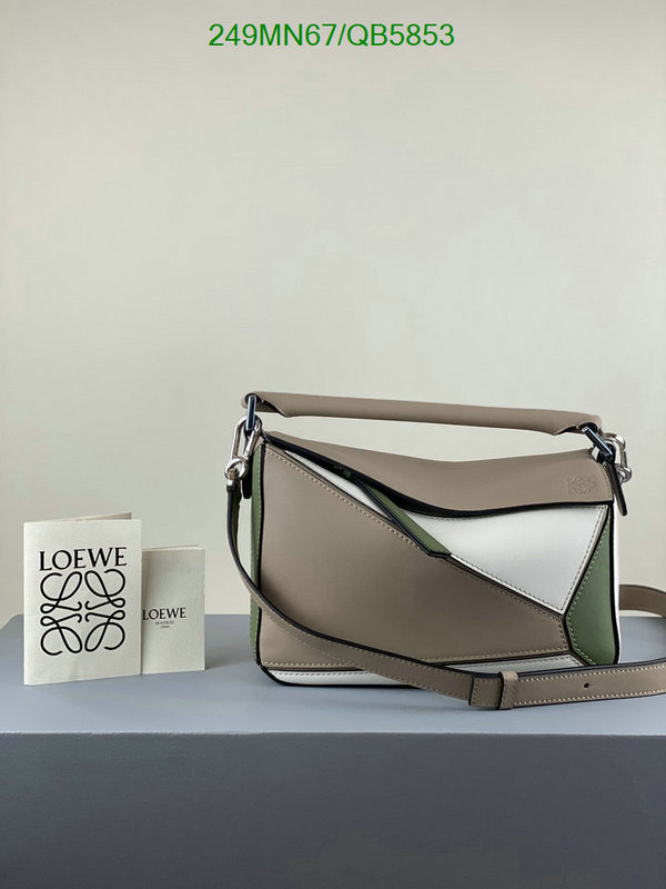 Loewe-Bag-Mirror Quality Code: QB5853 $: 249USD