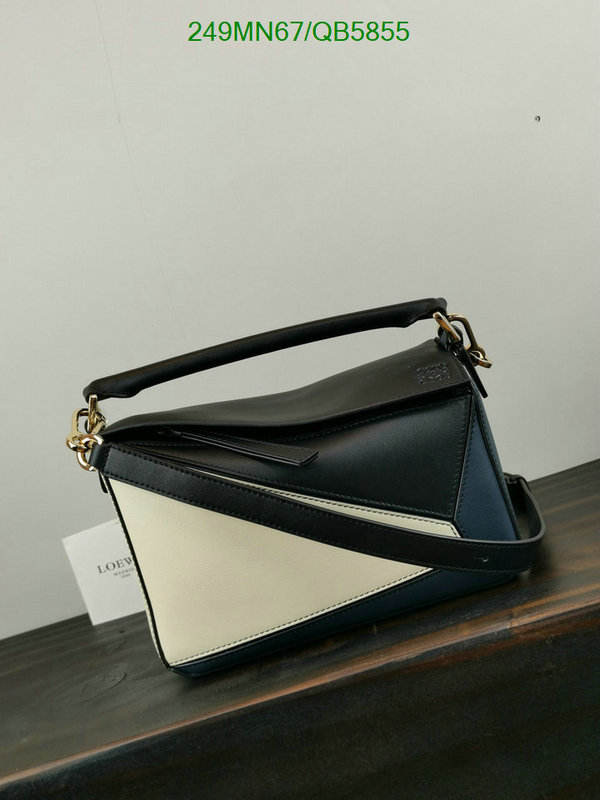 Loewe-Bag-Mirror Quality Code: QB5855 $: 249USD