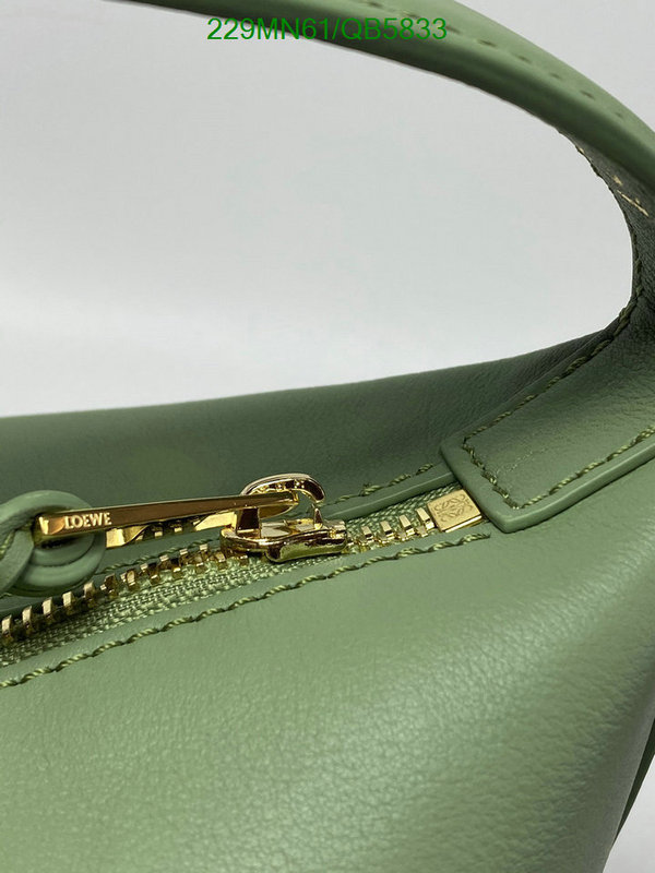 Loewe-Bag-Mirror Quality Code: QB5833 $: 229USD