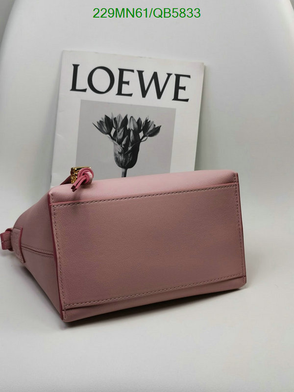 Loewe-Bag-Mirror Quality Code: QB5833 $: 229USD