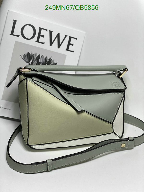 Loewe-Bag-Mirror Quality Code: QB5856 $: 249USD