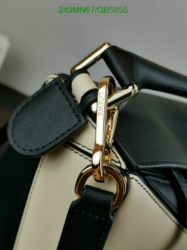 Loewe-Bag-Mirror Quality Code: QB5855 $: 249USD