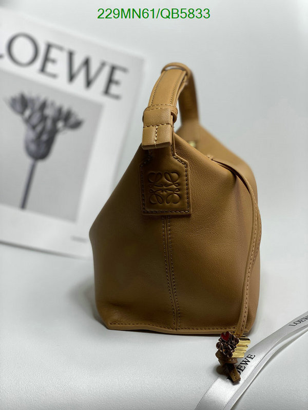 Loewe-Bag-Mirror Quality Code: QB5833 $: 229USD