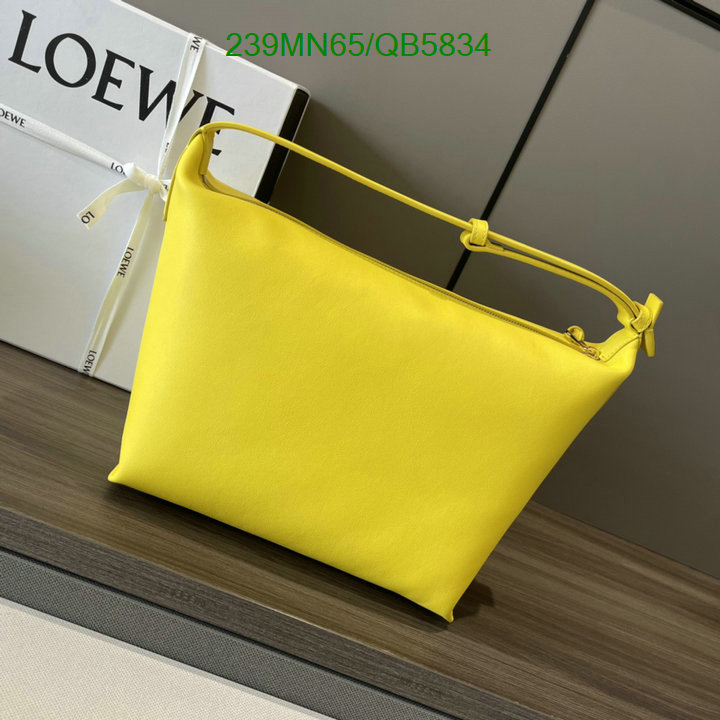 Loewe-Bag-Mirror Quality Code: QB5834 $: 239USD