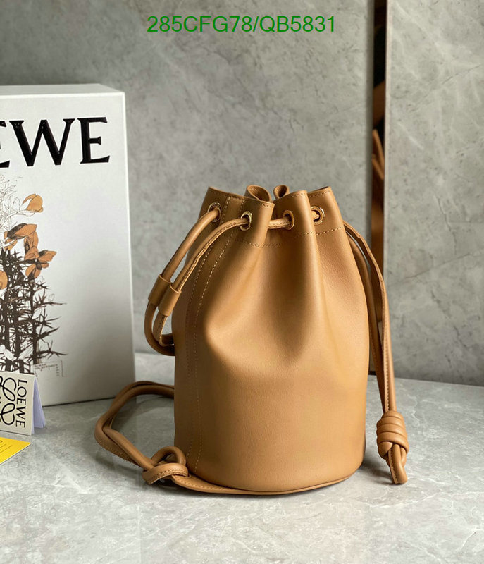 Loewe-Bag-Mirror Quality Code: QB5831 $: 285USD