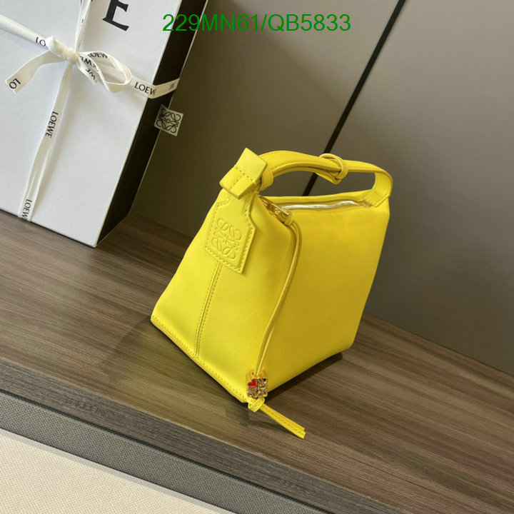 Loewe-Bag-Mirror Quality Code: QB5833 $: 229USD