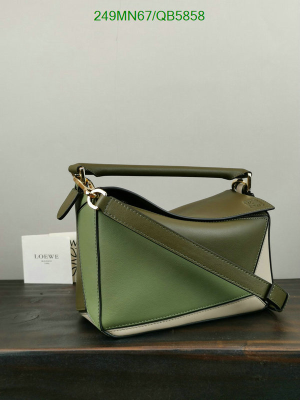 Loewe-Bag-Mirror Quality Code: QB5858 $: 249USD