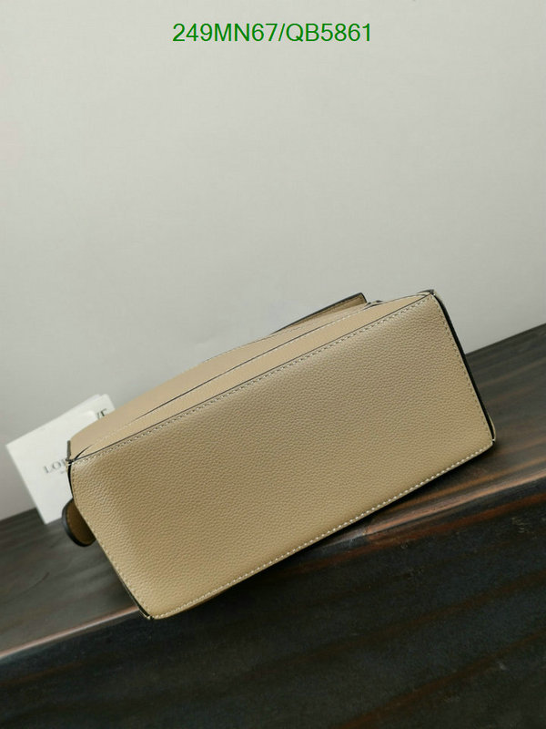 Loewe-Bag-Mirror Quality Code: QB5861 $: 249USD