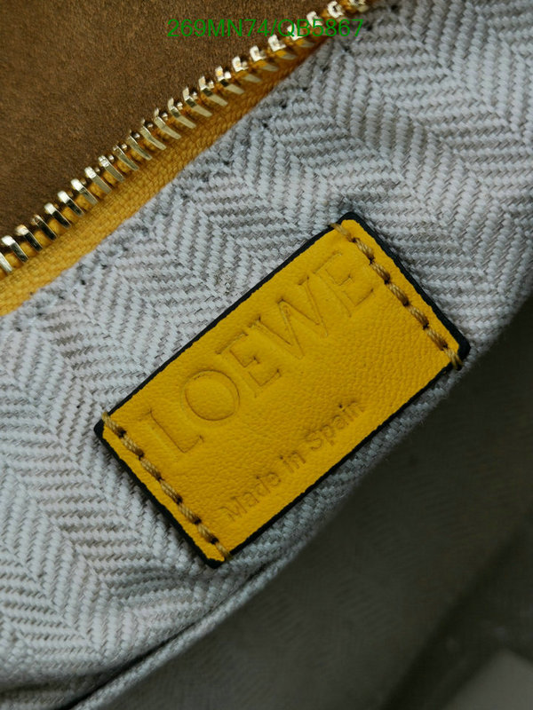 Loewe-Bag-Mirror Quality Code: QB5867 $: 269USD