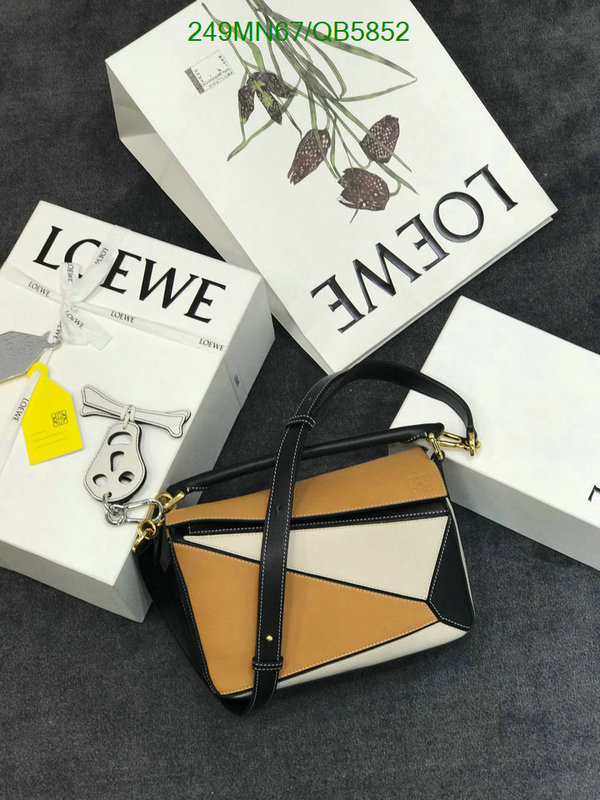 Loewe-Bag-Mirror Quality Code: QB5852 $: 249USD