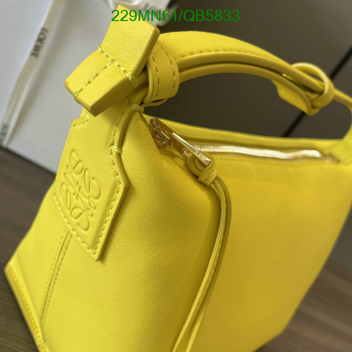 Loewe-Bag-Mirror Quality Code: QB5833 $: 229USD