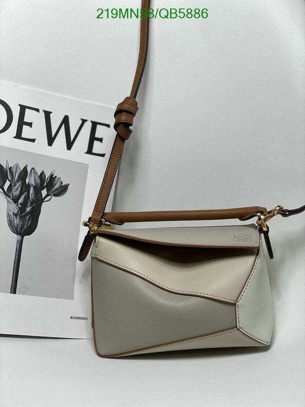 Loewe-Bag-Mirror Quality Code: QB5886 $: 219USD