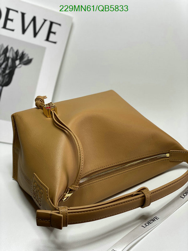 Loewe-Bag-Mirror Quality Code: QB5833 $: 229USD