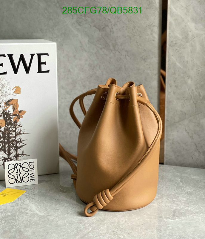 Loewe-Bag-Mirror Quality Code: QB5831 $: 285USD