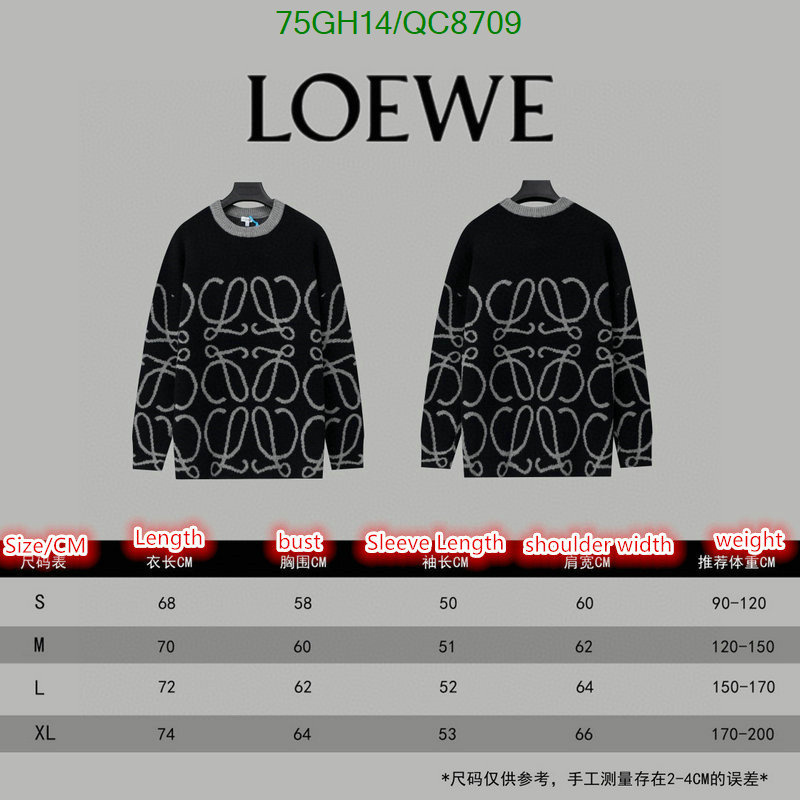 Loewe-Clothing Code: QC8709 $: 75USD