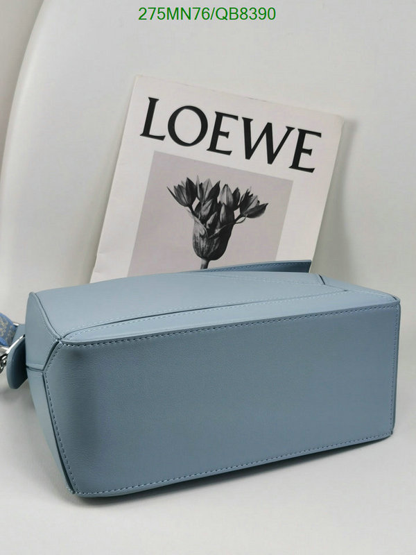 Loewe-Bag-Mirror Quality Code: QB8390 $: 275USD