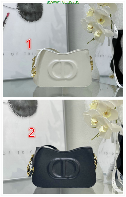 Dior-Bag-4A Quality Code: QB9735 $: 85USD