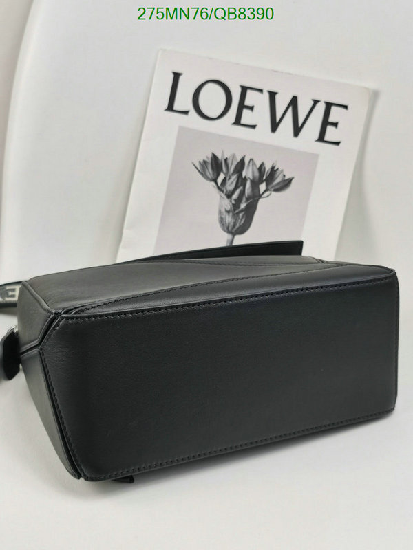 Loewe-Bag-Mirror Quality Code: QB8390 $: 275USD