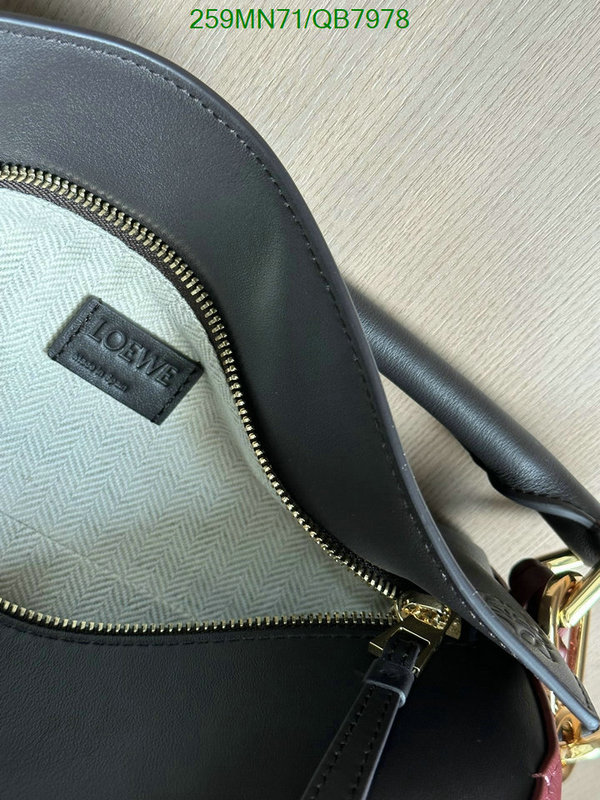 Loewe-Bag-Mirror Quality Code: QB7978 $: 259USD