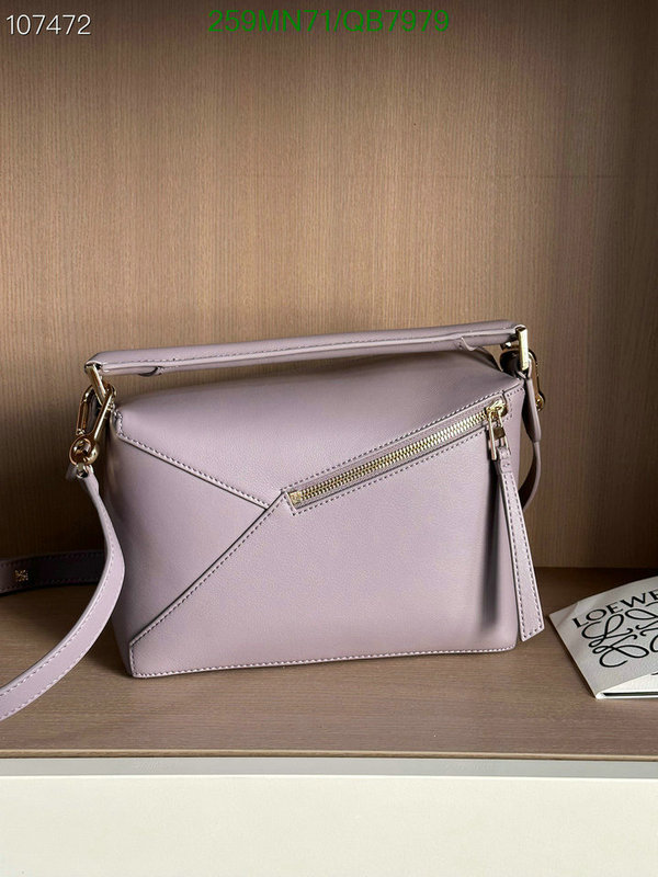 Loewe-Bag-Mirror Quality Code: QB7979