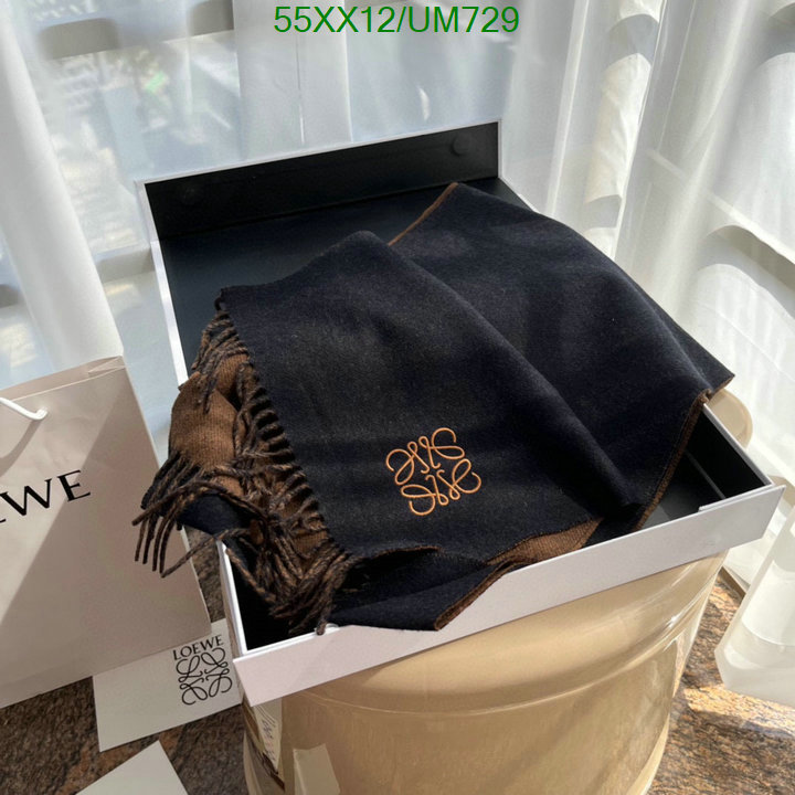 Loewe-Scarf Code: UM729 $: 55USD