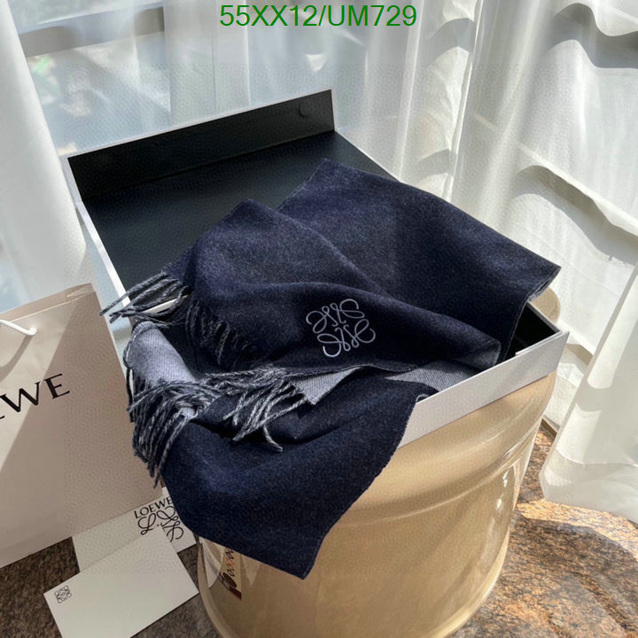 Loewe-Scarf Code: UM729 $: 55USD