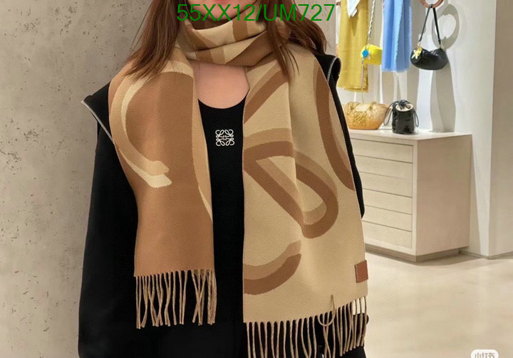 Loewe-Scarf Code: UM727 $: 55USD