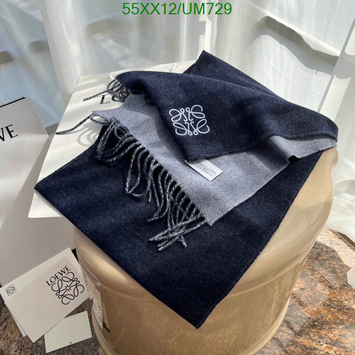 Loewe-Scarf Code: UM729 $: 55USD