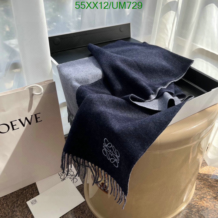 Loewe-Scarf Code: UM729 $: 55USD