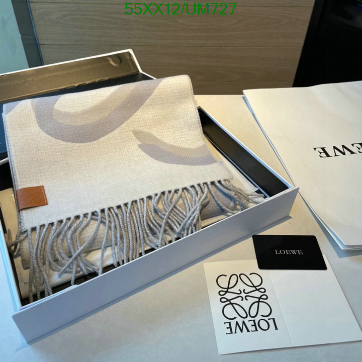 Loewe-Scarf Code: UM727 $: 55USD