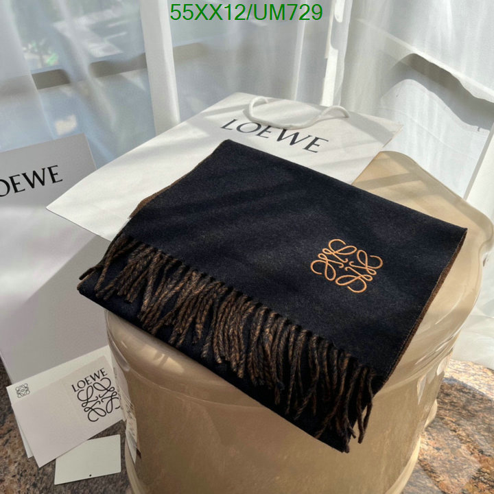 Loewe-Scarf Code: UM729 $: 55USD