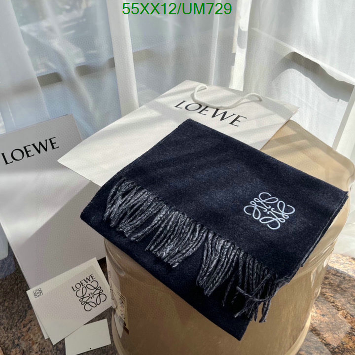 Loewe-Scarf Code: UM729 $: 55USD