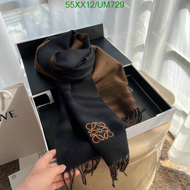 Loewe-Scarf Code: UM729 $: 55USD