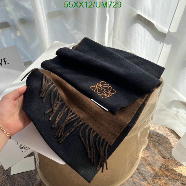 Loewe-Scarf Code: UM729 $: 55USD