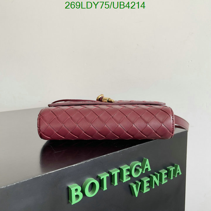 BV-Bag-Mirror Quality Code: UB4214 $: 269USD