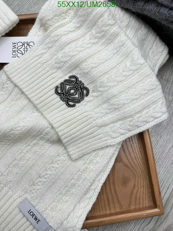 Loewe-Scarf Code: UM2658 $: 55USD