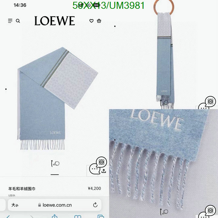 Loewe-Scarf Code: UM3981 $: 59USD