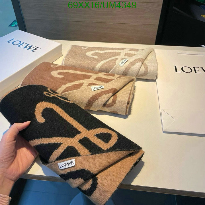 Loewe-Scarf Code: UM4349 $: 69USD