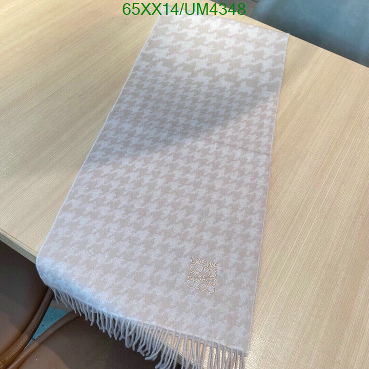 Loewe-Scarf Code: UM4348 $: 65USD